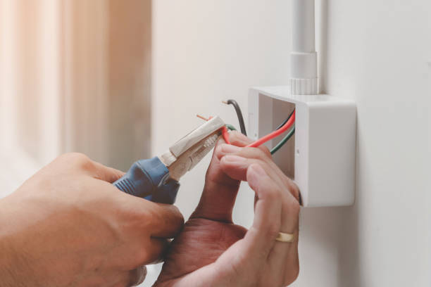 Best Surge Protection Installation  in Eagar, AZ